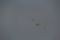 IMG_8049